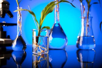 HTL Biotechnology inaugurates a new production line dedicated to sterile hyaluronic acid