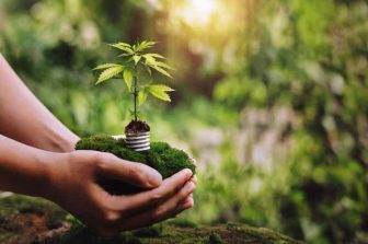 Sunmed | Your CBD Store and Small Business Owners Call on Governor Abbott to Veto SB 3, Citing Devastating Economic Consequences