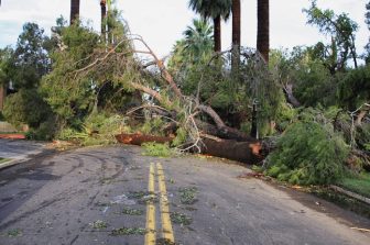 Edmonton Tourism Awards Honours Outstanding Achievements in the Industry