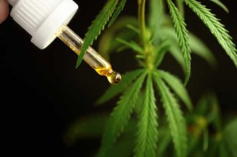 AGLC Announces Cannabis Welcome at Alberta Concerts and Festivals