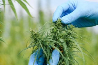 C3 Industries Celebrates New Missouri Dispensary with Grand Opening of High Profile Holland