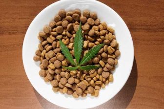 Auxly to Report Second Quarter 2025 Results on August 14, 2025