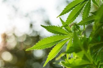 The Sanctuary Garden Cannabis Dispensary Opens on NYC’s Upper West Side, Rooted in Legacy and Local Impact