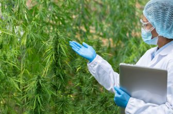 StickIt Announces Letter of Intent for Corporate Reorganization Share Consolidation and Proposed Private Placement