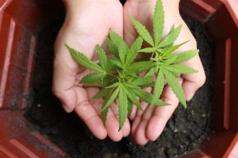 Auxly Repays $5 Million Inventory Loan