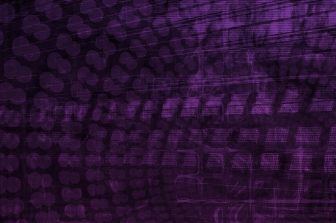 Wang Qunbin: Innovation-Driven, Fosun’s Path to Globalization