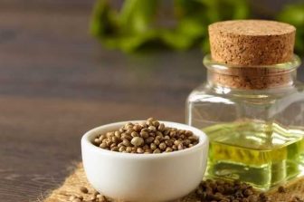 Canadabis Capital Inc. Announces 2025 Fiscal Year Financial Results