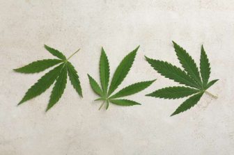 Mercanto Launches Vape Cartridges in Québec — Now Available In-Store and Online