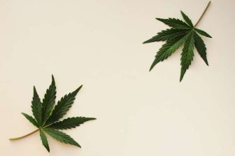 Lowtemp Industries’ Mini Osprey 2.0™ Gains Rapid Adoption Among Boutique Solventless Labs and Homegrowers