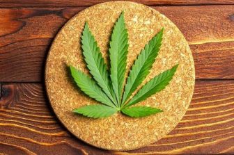 Michigan Court of Appeals Upholds Highland Park Marijuana Ordinance in Case Led by Attorneys Anthony Chubb and Katherine Ross