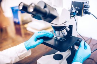 Kanazawa University research: Wnt signaling drives stomach cancer spread by reshaping surrounding tissue