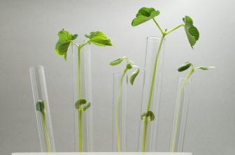 Atrogi announces first subjects dosed in human trial for lead candidate ATR-258