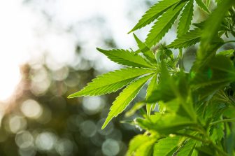 PLEOPHARMA, INC. to Present at the Centri Capital Conference in New York