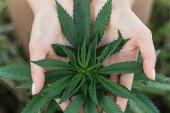 Perfect Union Welcomes Historic DOJ Cannabis Rescheduling, Calls Move a Lifeline for California Dispensaries