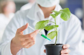 New Combination Therapy for Advanced Small Cell, Lung Cancer Approved in Australia and Singapore