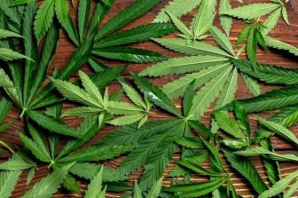 WWE Hall of Famer and Professional Wrestler Rob Van Dam Launches Line of Wellness Products, a Strategic Move in the Rapidly Growing Cannabis Industry