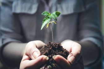 MEDICAL CANNABIS CONSORTIUM LAUNCHES FIRST MULTI-CLINIC PATIENT SURVEY OF ITS KIND