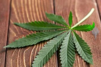 LeafLink’s 2026 Wholesale Cannabis Pricing Guide Now Available