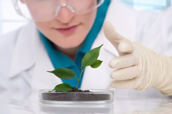 Pendulum Therapeutics Appoints Madison Reed Founder and CEO Amy Errett to Board of Directors