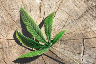 Patient First Coalition Supports DEA’s Medical Cannabis Review Process Providing Experts Advocating for Schedule III Transition Moritorium – Supporting Medical