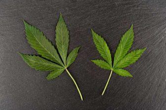Illinois Action Center: Major Cannabis Reform Could Move Forward in Illinois Under HB 5784