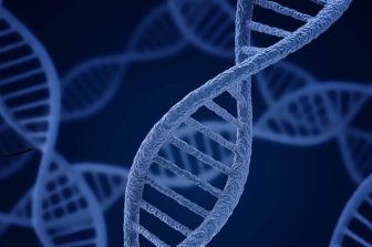 Roche’s VENTANA MMR RxDx Panel companion diagnostic receives IVDR approval across multiple cancer types and therapies