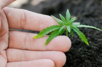 Speakeasy Dispensary Expands to Corbin, Bringing Medical Cannabis Access to Southeastern Kentucky