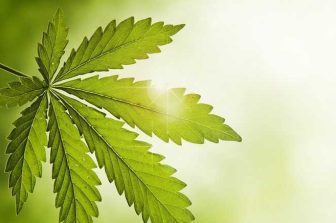 Trulieve Commemorates Georgia Medical Cannabis Launch with First Sale