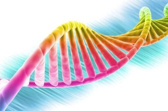 InxMed Announces Publication in The Lancet Respiratory Medicine Featuring Promising Anticancer Activity of Ifebemtinib in combination with Garsorasib in First-Line non-small cell lung cancer (NSCLC) Harboring KRAS G12C Mutation
